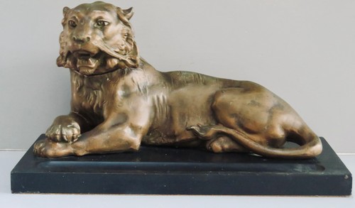 Ampio calamaio tigre riposo - ampio,